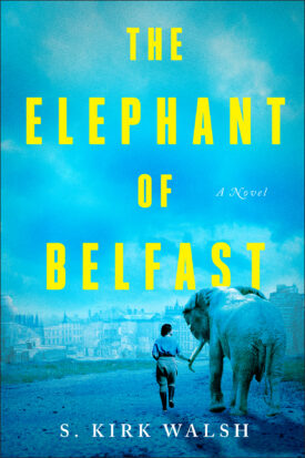 The Elephant of Belfast