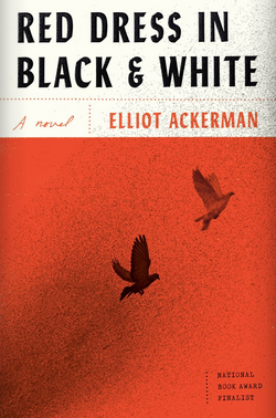 Red Dress in Black & White: A Novel