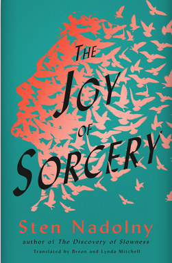 The Joy of Sorcery