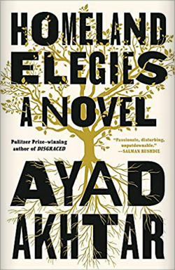 Homeland Elegies: A Novel