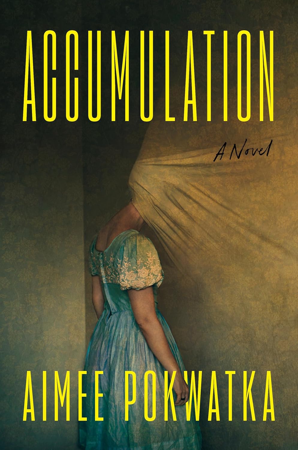 Accumulation: A Novel