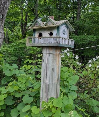 For the Birds