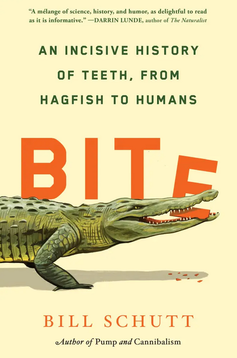 Bite
