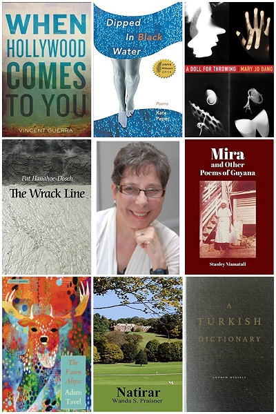 August 2017 Exemplars: Poetry Reviews by Grace Cavalieri