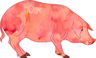 Some Animals Are More Equal Than Others