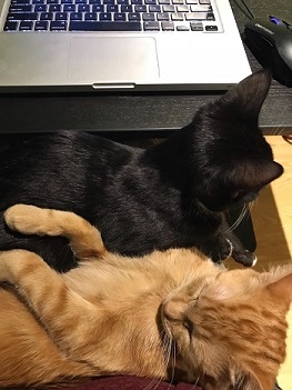 Tanking My Productivity