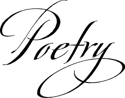 15 of the Past Year’s Best Poetry Books