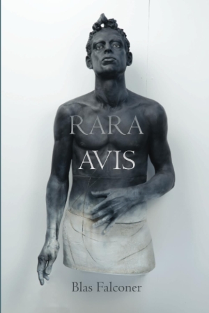 On Poetry: February 2025