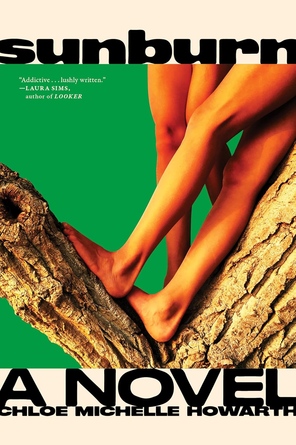 Sunburn: A Novel