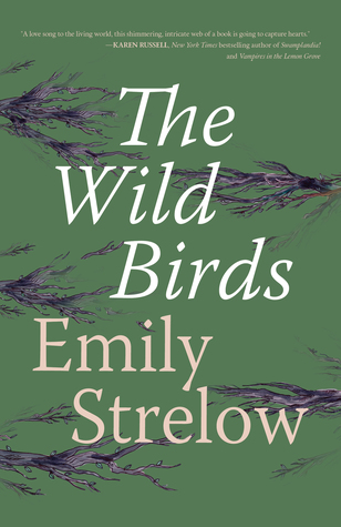 The Wild Birds: A Novel