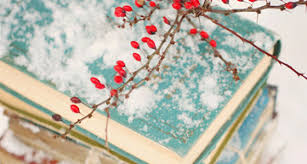 Snow Stories