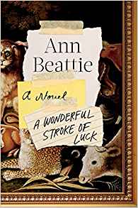 A Wonderful Stroke of Luck: A Novel